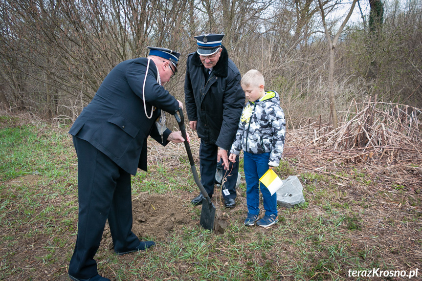 Sadzenie drzew i utworzenie Dębowej Alejki Papieskiej w Dukli