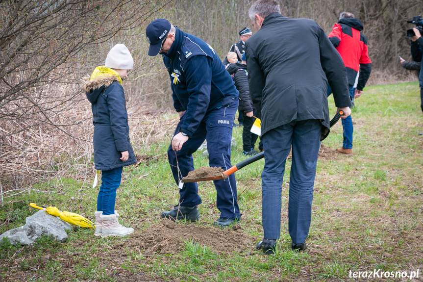 Sadzenie drzew i utworzenie Dębowej Alejki Papieskiej w Dukli