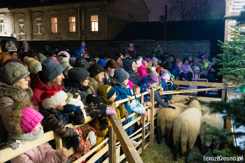 Spektakl Żywa Szopka w Krośnie