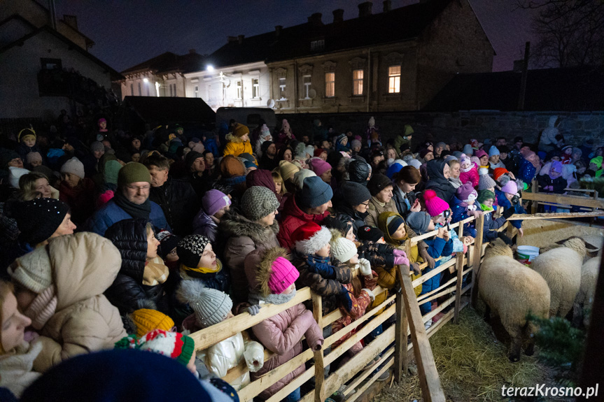 Spektakl Żywa Szopka w Krośnie