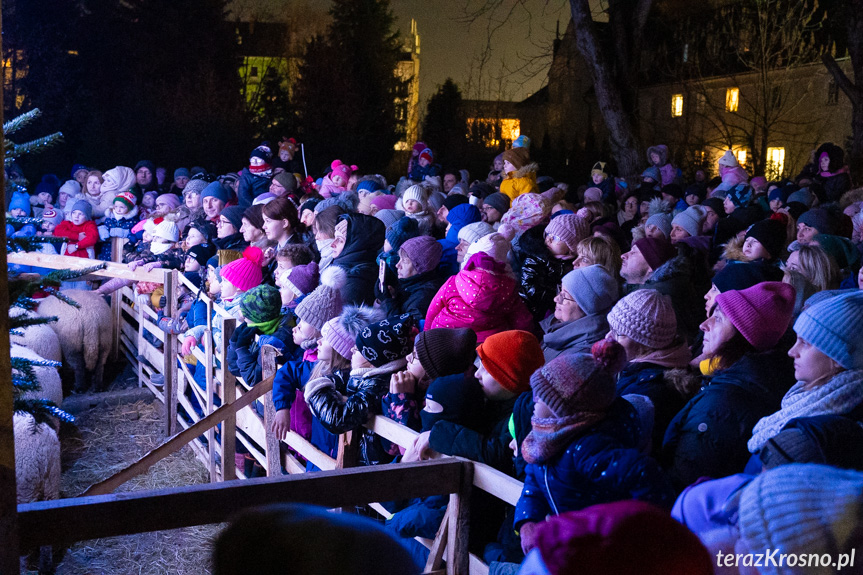 Spektakl Żywa Szopka w Krośnie