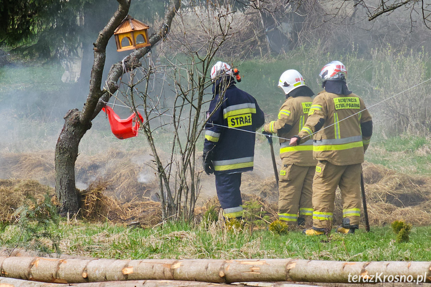 Strażacy interweniowali w Trzcianie