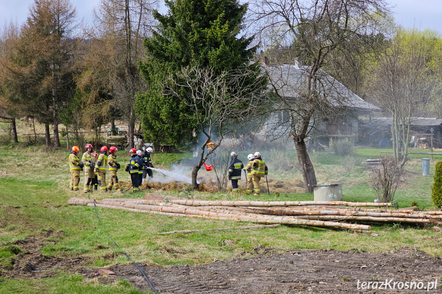 Strażacy interweniowali w Trzcianie