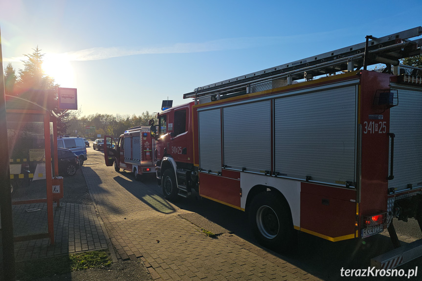 Świerzowa Polska. Wszystkie służby w gotowości, a mężczyzna smacznie spał