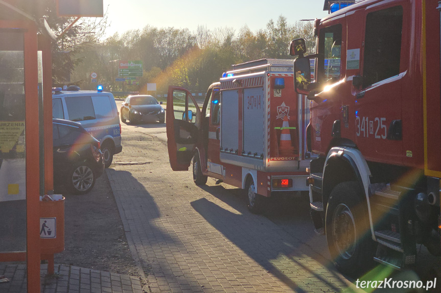 Świerzowa Polska. Wszystkie służby w gotowości, a mężczyzna smacznie spał