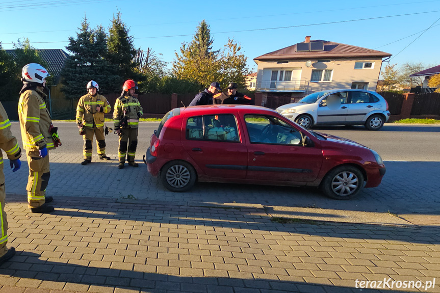 Świerzowa Polska. Wszystkie służby w gotowości, a mężczyzna smacznie spał