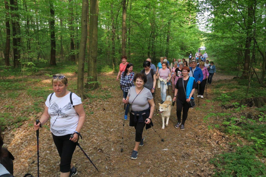 Święto Niezapominajki w Krościenku Wyżnym