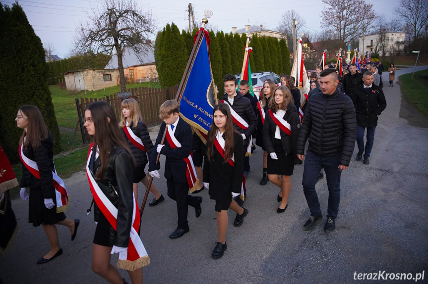 Szczepańcowa. Obchody Narodowego Święta Niepodległości