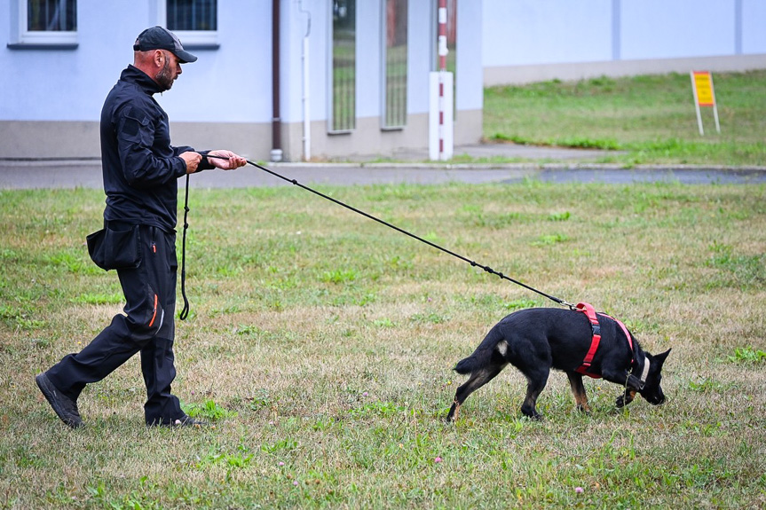 Szkolenie policyjnych psów