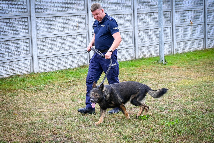 Szkolenie policyjnych psów