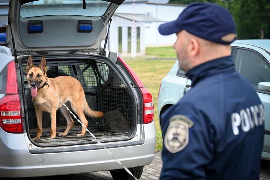 Szkolenie policyjnych psów