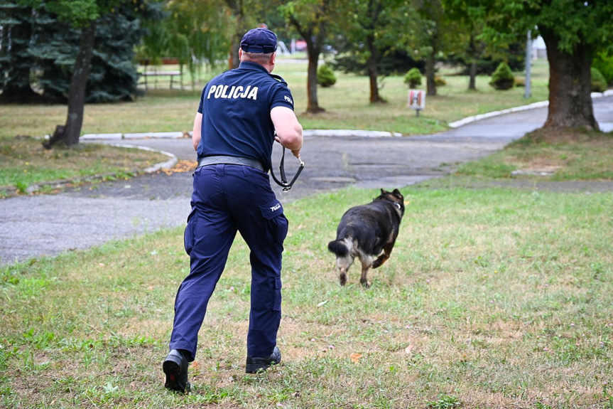 Szkolenie policyjnych psów