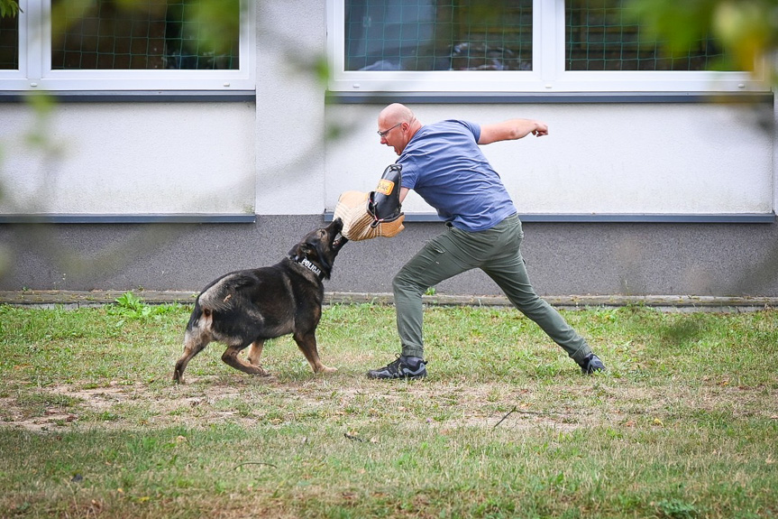 Szkolenie policyjnych psów