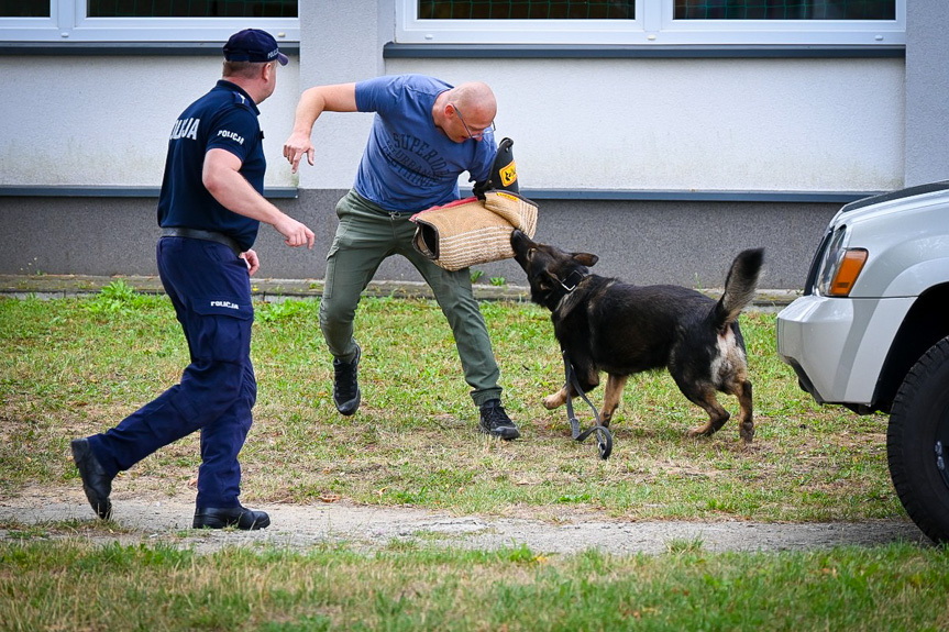 Szkolenie policyjnych psów