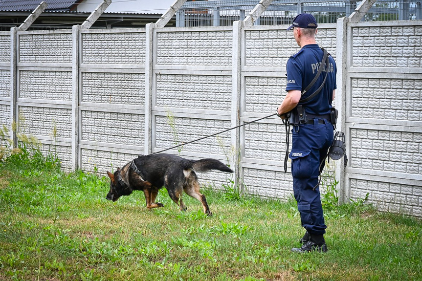 Szkolenie policyjnych psów