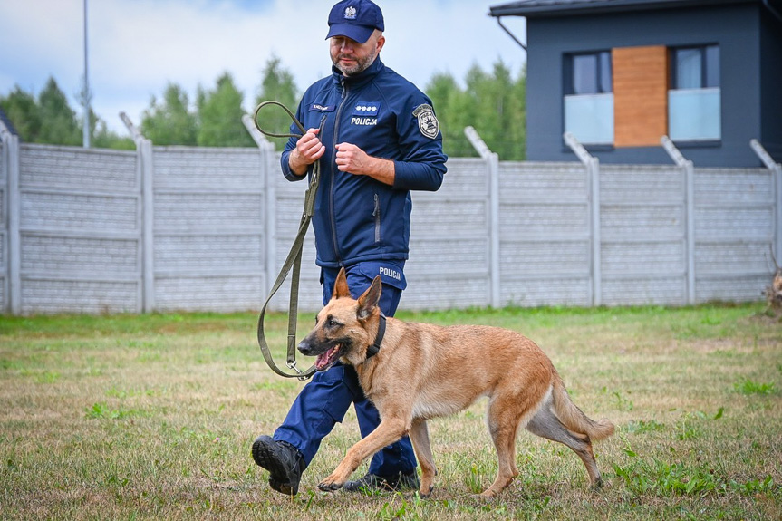 Szkolenie policyjnych psów