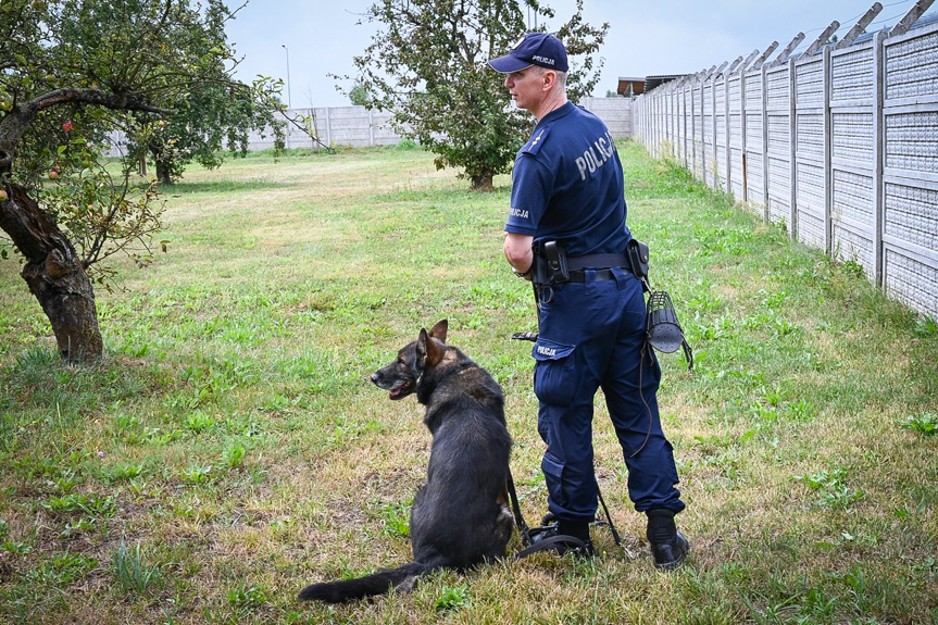 Szkolenie policyjnych psów