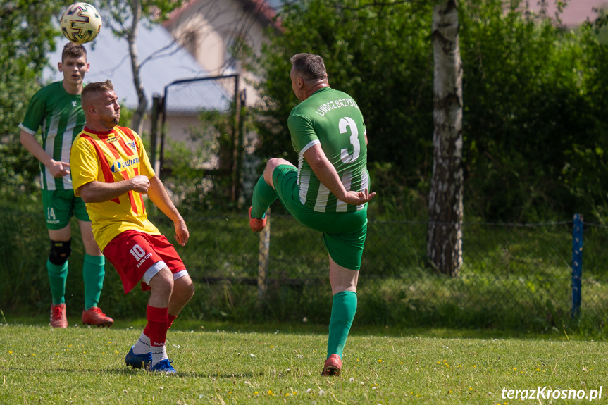 Tęcza Zręcin - Liwocz Brzyska 1:0