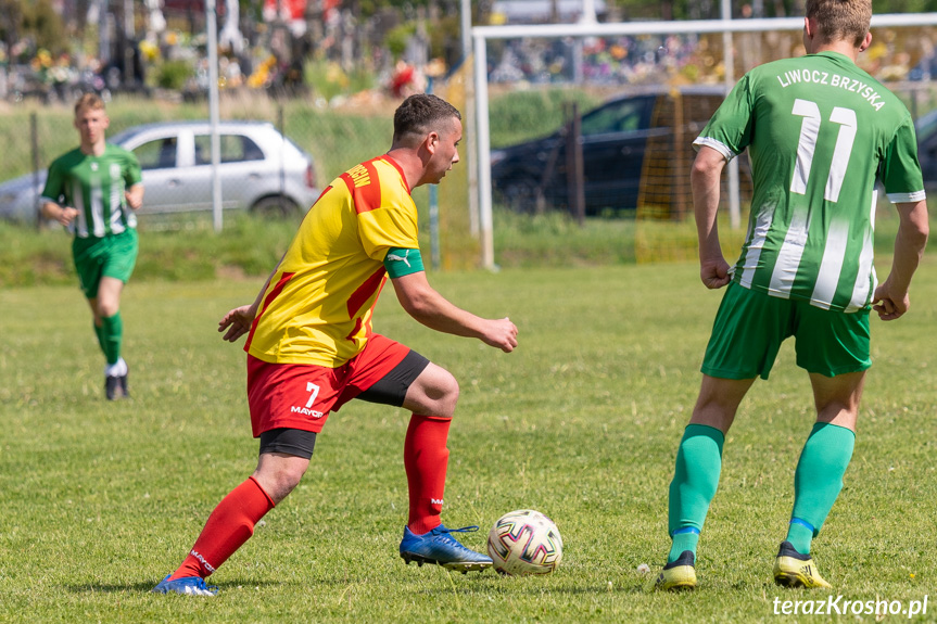 Tęcza Zręcin - Liwocz Brzyska 1:0