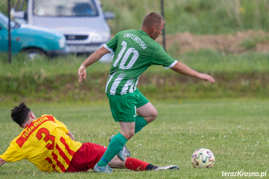 Tęcza Zręcin - Liwocz Brzyska 1:0