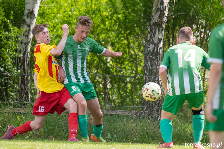 Tęcza Zręcin - Liwocz Brzyska 1:0