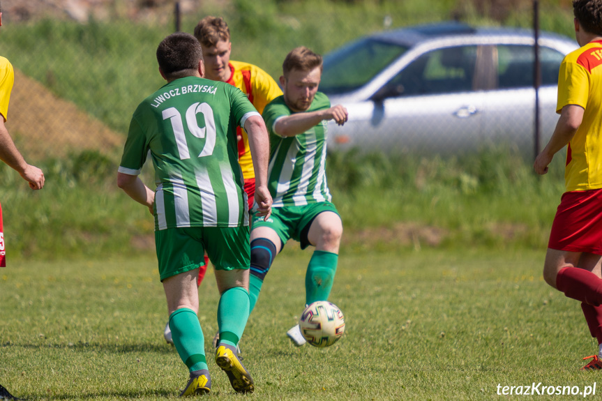 Tęcza Zręcin - Liwocz Brzyska 1:0