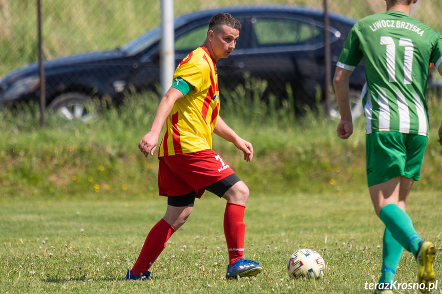 Tęcza Zręcin - Liwocz Brzyska 1:0