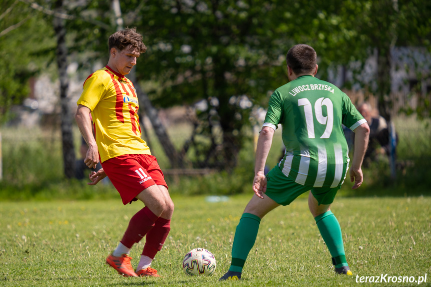 Tęcza Zręcin - Liwocz Brzyska 1:0