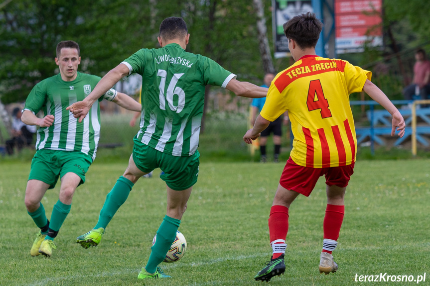 Tęcza Zręcin - Liwocz Brzyska 1:0