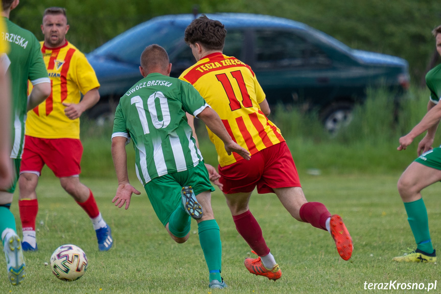 Tęcza Zręcin - Liwocz Brzyska 1:0