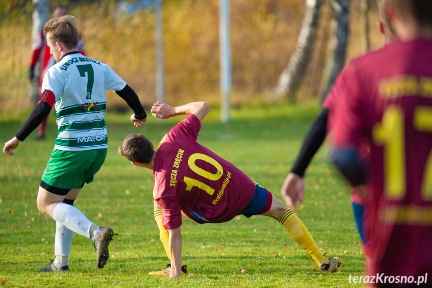 Tęcza Zręcin - Liwocz Brzyska 1:3