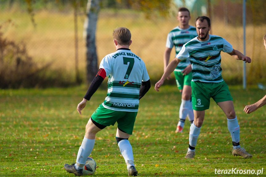 Tęcza Zręcin - Liwocz Brzyska 1:3