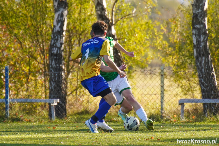 Tęcza Zręcin - Liwocz Brzyska 1:3