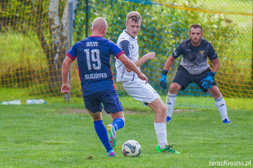 Tęcza Zręcin - Orzeł Faliszówka 1:2