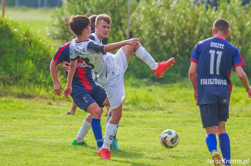 Tęcza Zręcin - Orzeł Faliszówka 1:2