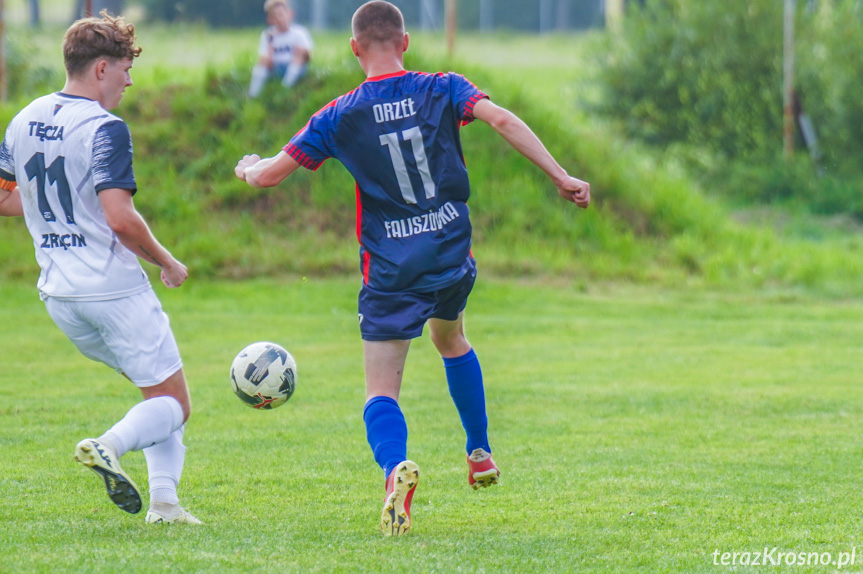 Tęcza Zręcin - Orzeł Faliszówka 1:2