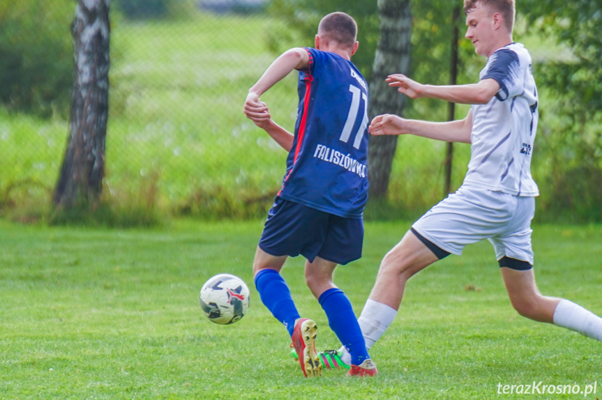 Tęcza Zręcin - Orzeł Faliszówka 1:2