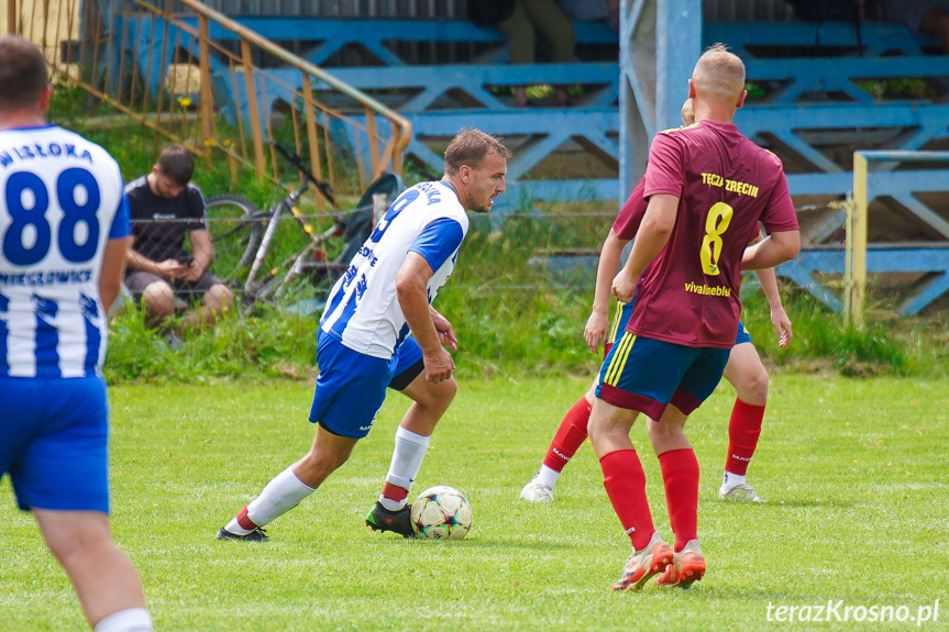 Tęcza Zręcin - Wisłoka Niegłowice 6-1 