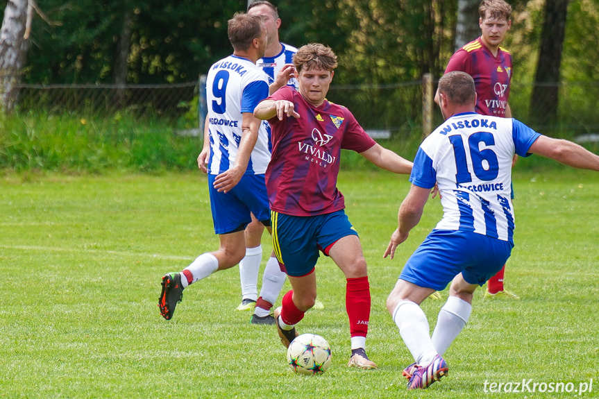 Tęcza Zręcin - Wisłoka Niegłowice 6-1 