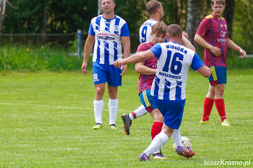 Tęcza Zręcin - Wisłoka Niegłowice 6-1 