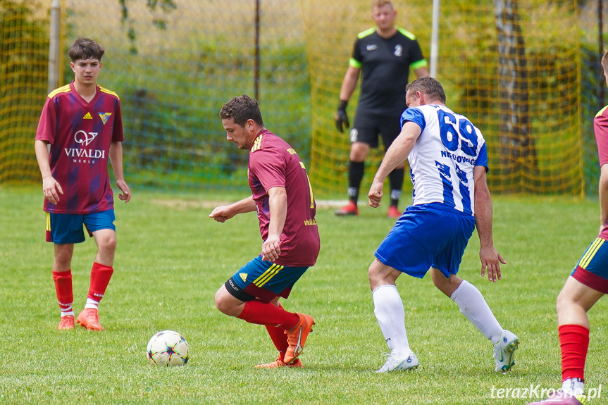 Tęcza Zręcin - Wisłoka Niegłowice 6-1 