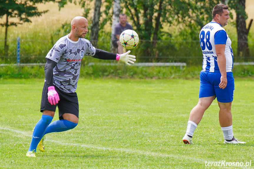 Tęcza Zręcin - Wisłoka Niegłowice 6-1 