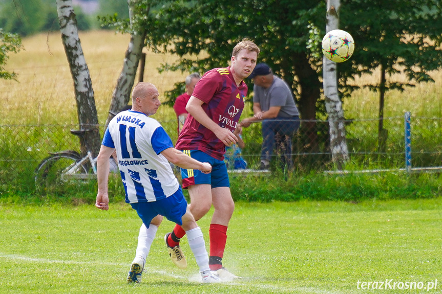 Tęcza Zręcin - Wisłoka Niegłowice 6-1 