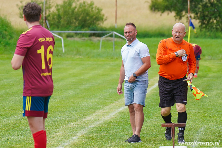 Tęcza Zręcin - Wisłoka Niegłowice 6-1 