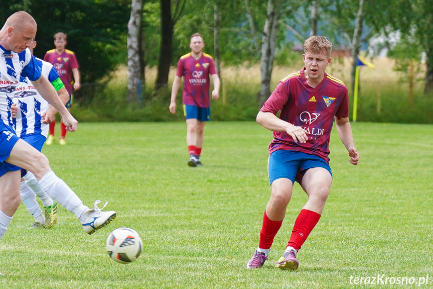 Tęcza Zręcin - Wisłoka Niegłowice 6-1 