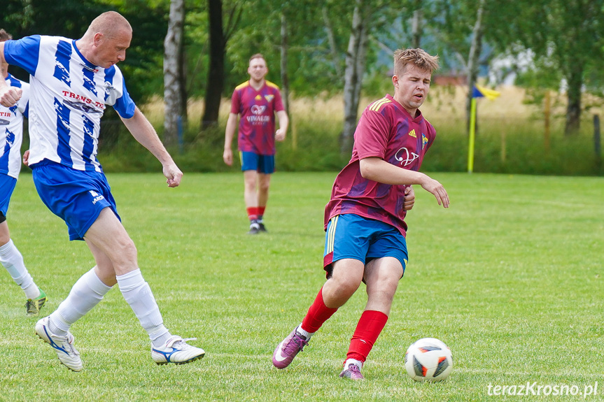 Tęcza Zręcin - Wisłoka Niegłowice 6-1 