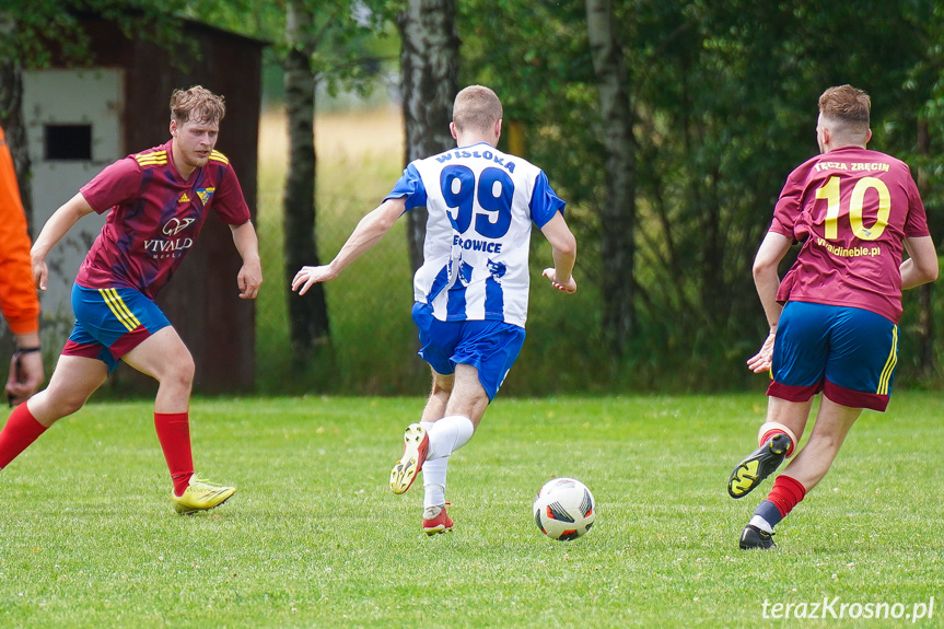 Tęcza Zręcin - Wisłoka Niegłowice 6-1 