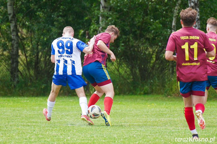 Tęcza Zręcin - Wisłoka Niegłowice 6-1 