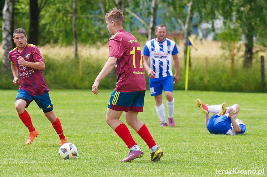 Tęcza Zręcin - Wisłoka Niegłowice 6-1 