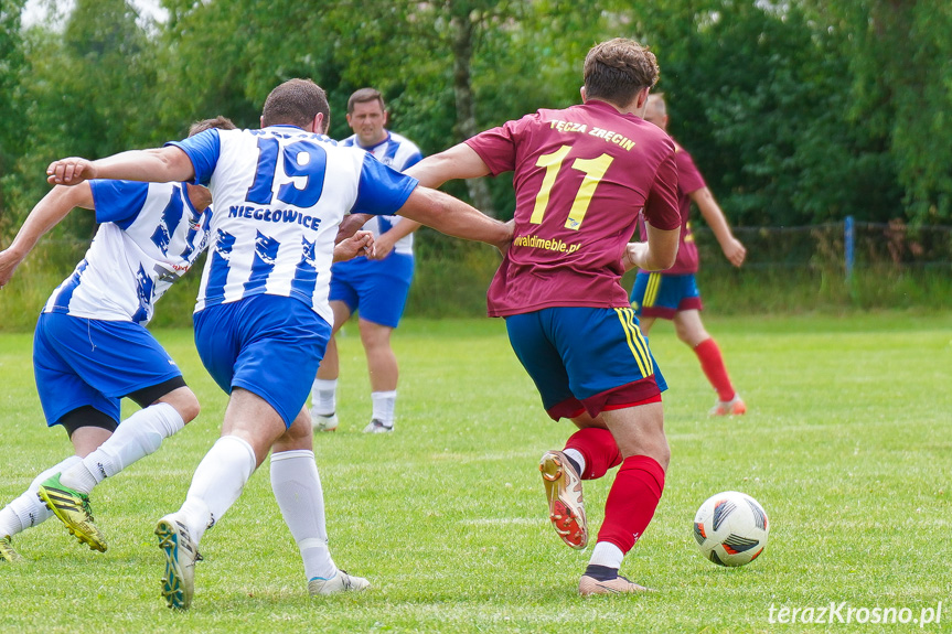 Tęcza Zręcin - Wisłoka Niegłowice 6-1 